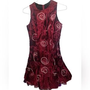 EUC Girls Holiday Dress